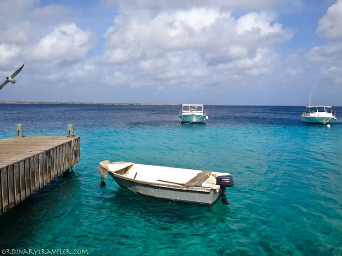 Unforgettable Bonaire: Why I Loved Visiting This Island