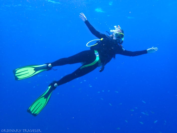 Learning to Dive in Bonaire