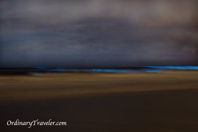 Red Tide Magic - Bioluminescence Captured at Night in San Diego