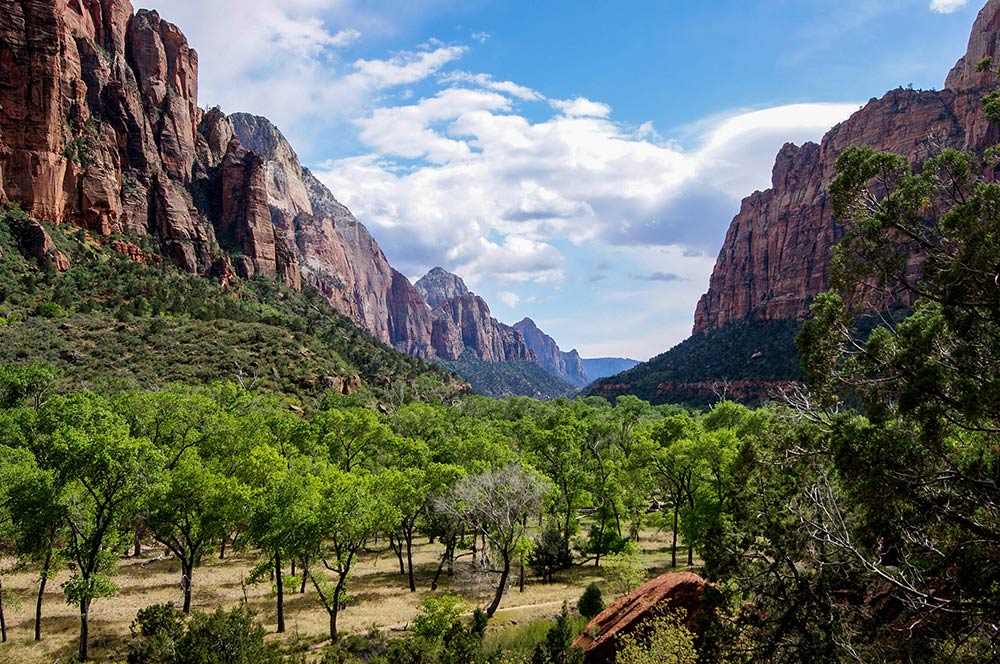 Best Campgrounds in Zion National Park