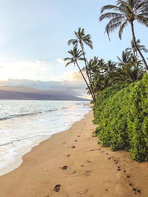 Best Places to Stay in Maui (Top Areas & Hotels)