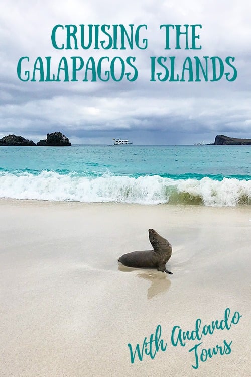Cruising the Galapagos Islands with Andando Tours
