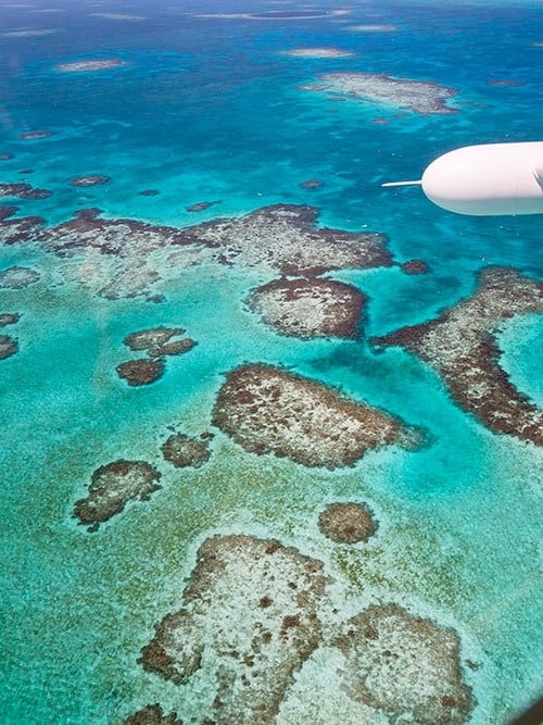 Tips for Booking a Blue Hole Flight Tour in Belize