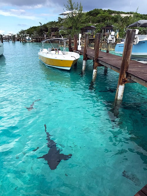 Staniel Cay Bahamas - Where To Stay